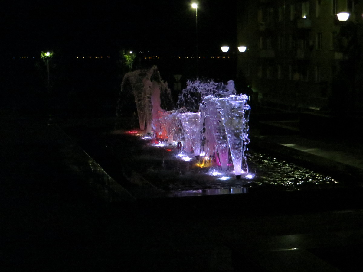 350 IMG 7019