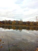 VFL.RU - ваш фотохостинг