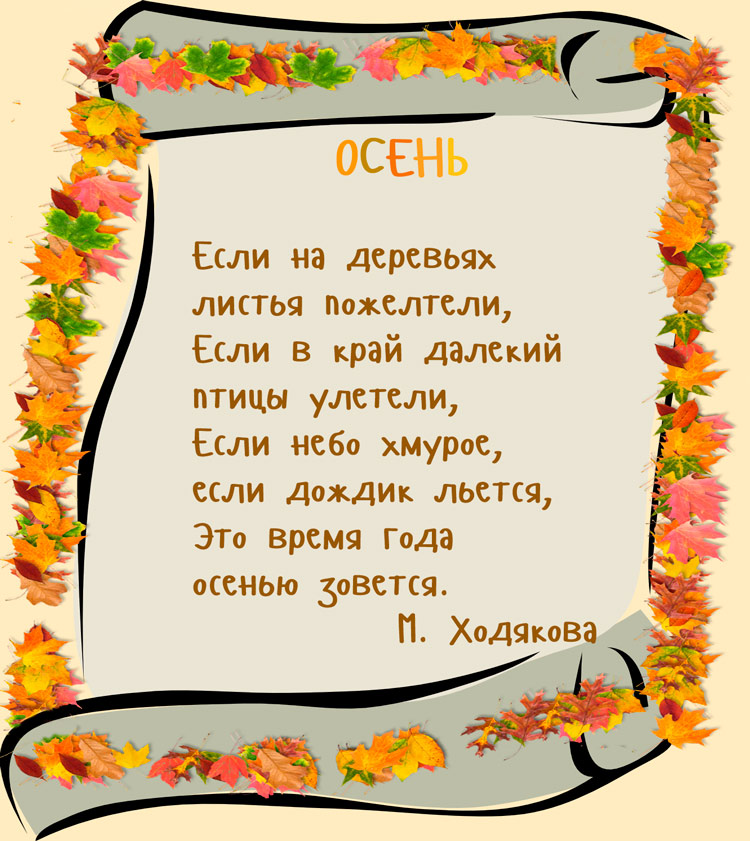 parchment background or аborder 5-1331px