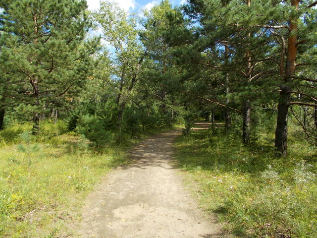 Остров Татышев