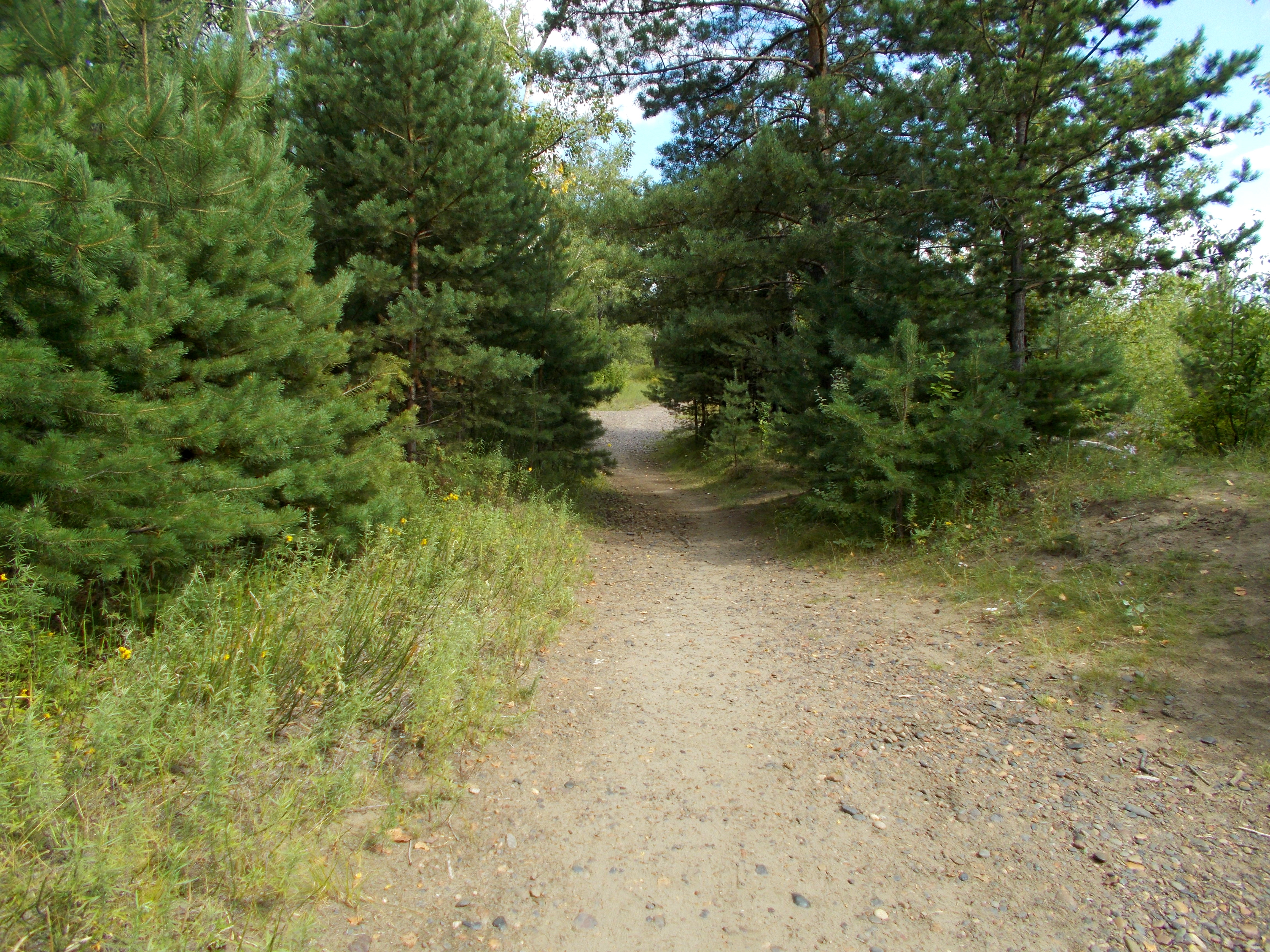 Остров Татышев