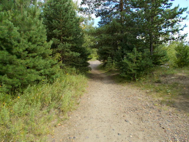 Остров Татышев