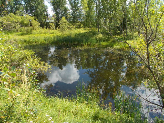 Остров Татышев