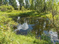 Остров Татышев