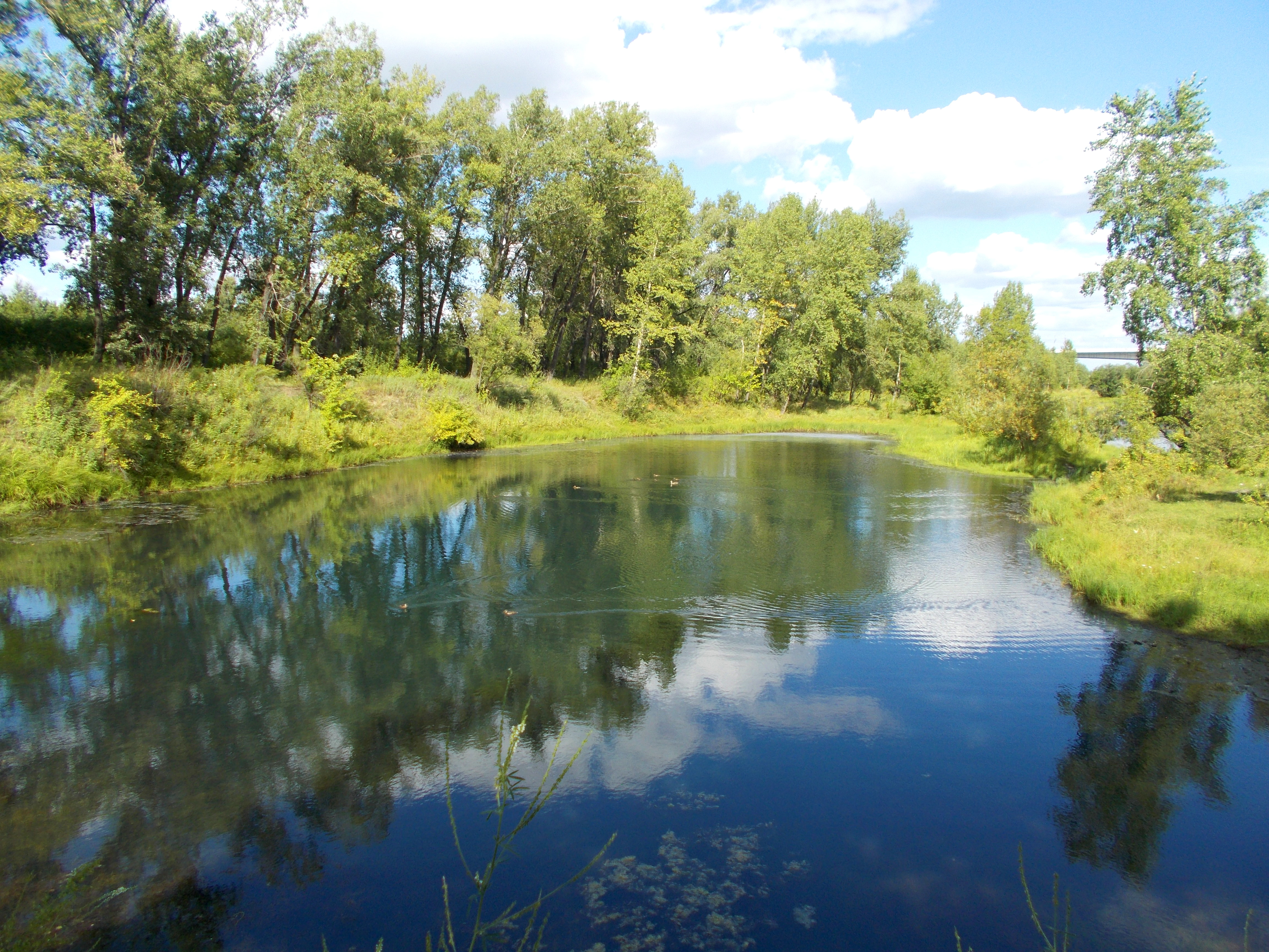 Остров Татышев