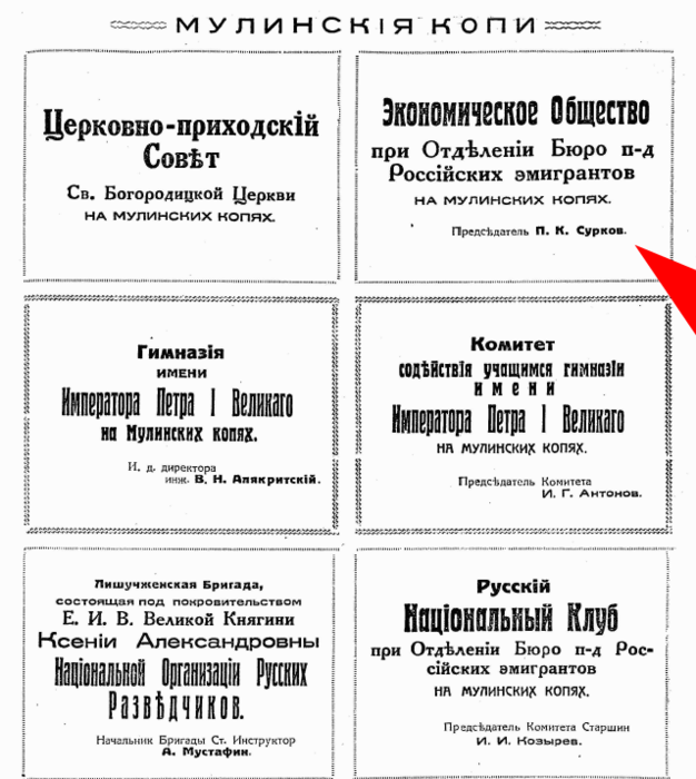 23934219_m.png