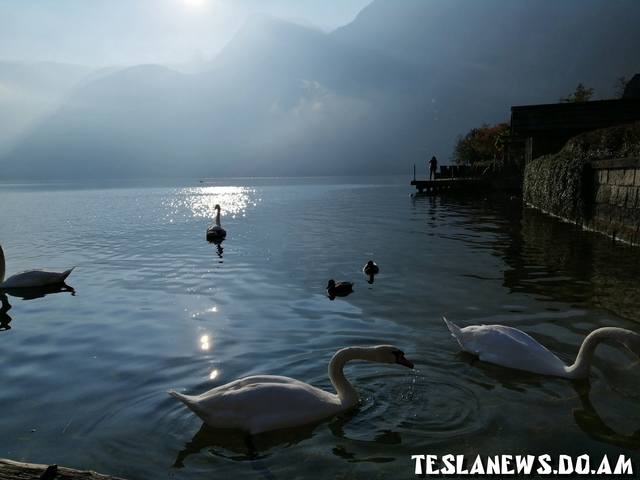 04 Photo Honor 8X teslanews.do.am