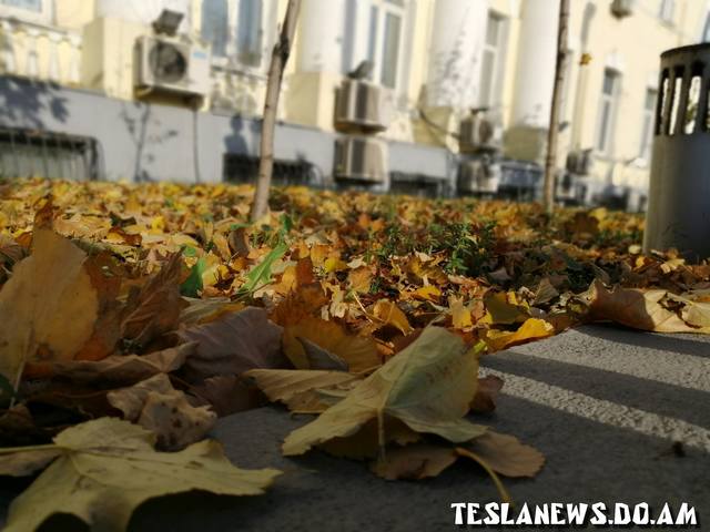 01 Photo Honor 8X teslanews.do.am