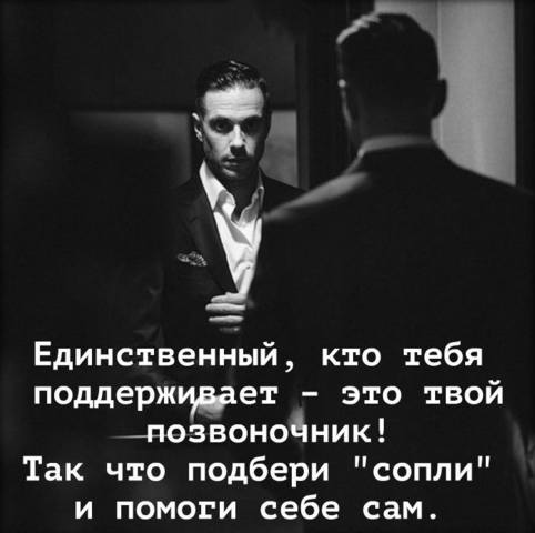 позвоночник