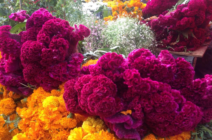 flores-dia-de-muertos-6