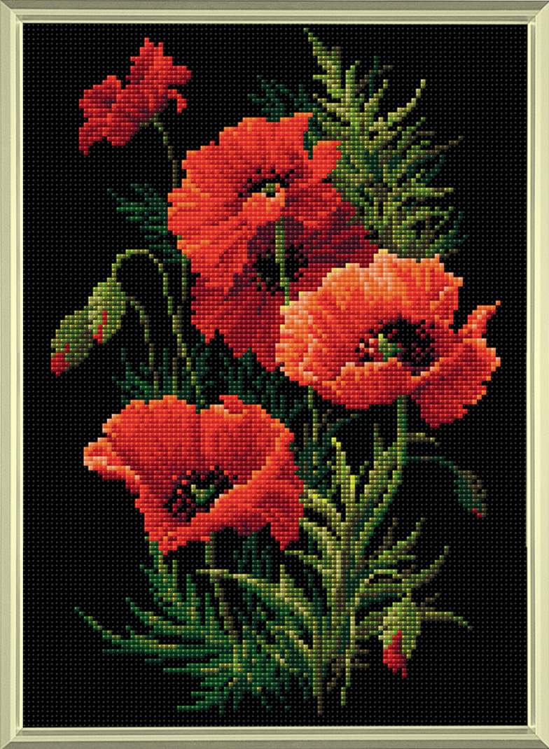 AM0007 Poppies