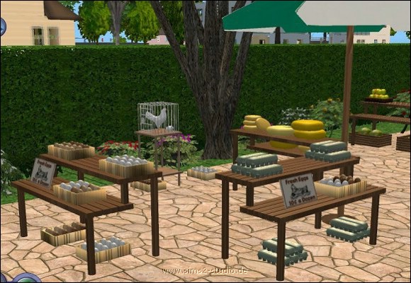 plaza2