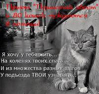 image (71) - копия