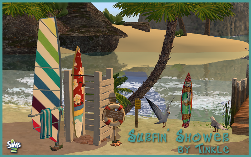 SurfinShower-2