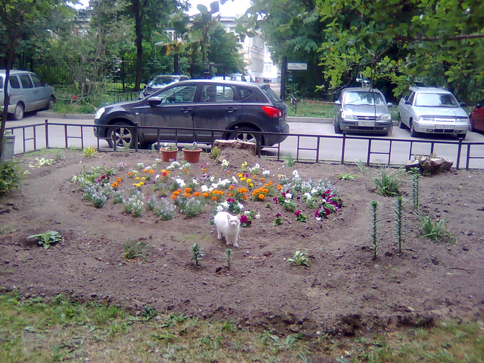 Белка