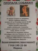 VFL.RU - ваш фотохостинг