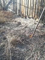 VFL.RU - ваш фотохостинг