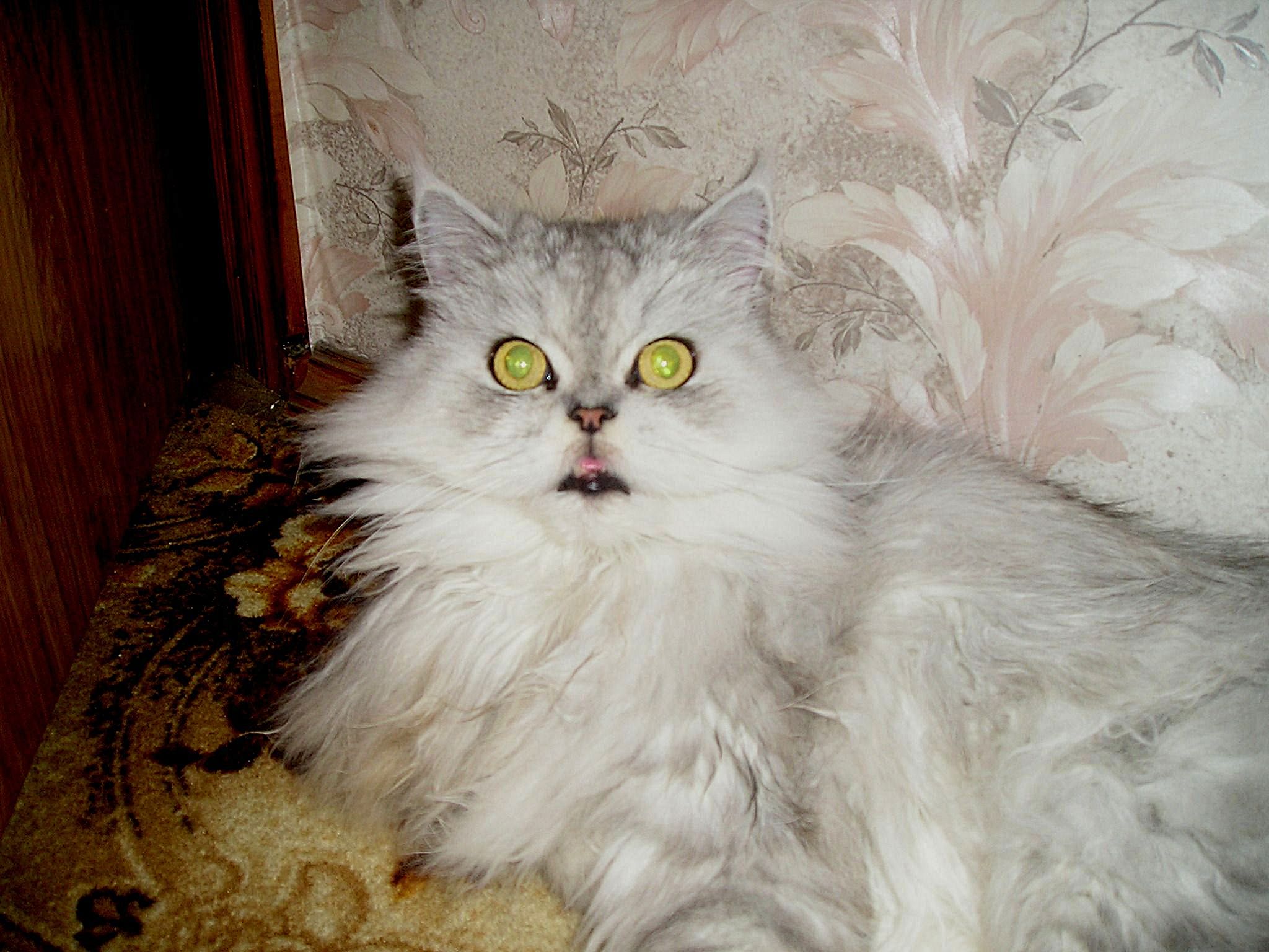Мартин