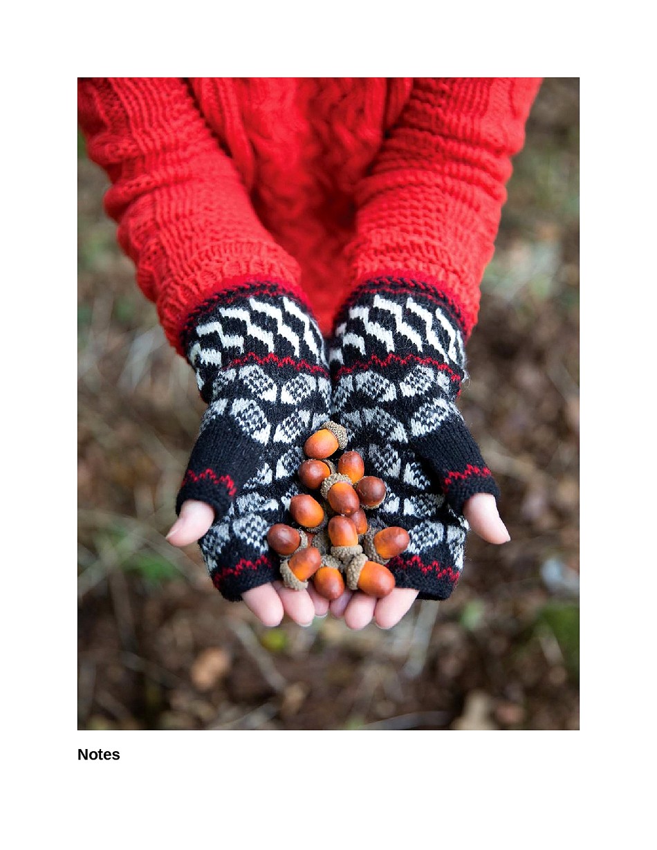 Knit Like a Latvian 50 Knitting Patterns for a Fresh Take on Traditional Latvian Mittens-092