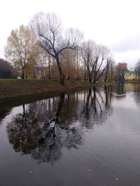 Отражения мира в фотографиях