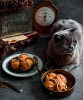 VFL.RU - ваш фотохостинг