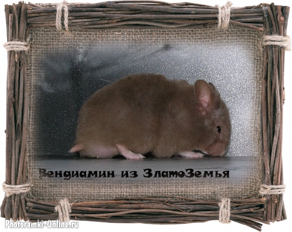 Вендиамин1
