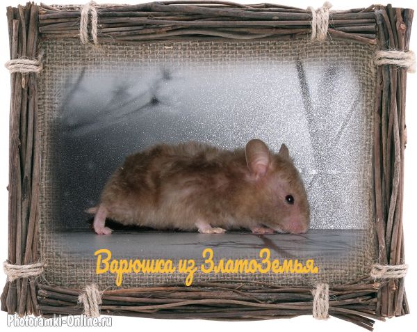 Варвара1