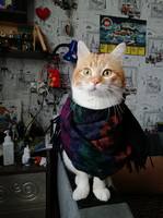 VFL.RU - ваш фотохостинг