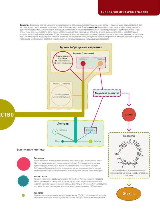 Evrika Nauka v infografike 27