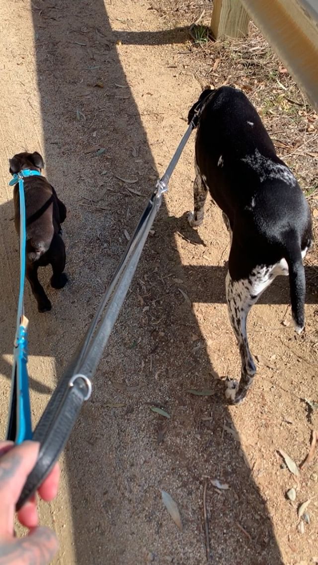 Bill's IG-Story #3 (26.11.18, LA)