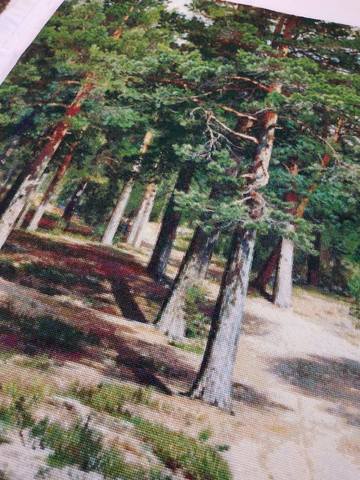 бор4