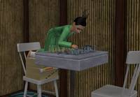 Screenshot-Sims-5593