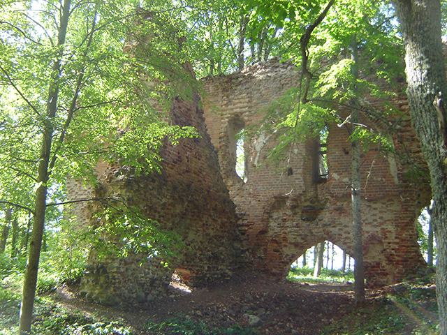 Руины Рингенского замка