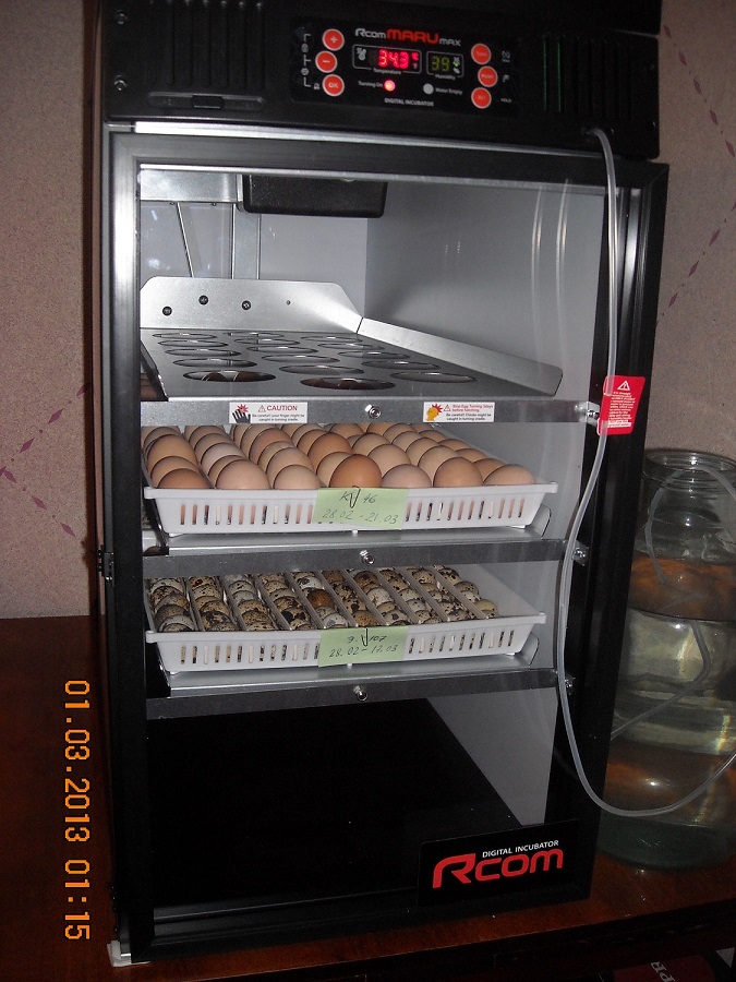 DSCN6057к
