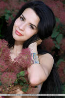 http://images.vfl.ru/ii/1544328418/f0611987/24528079_s.jpg
