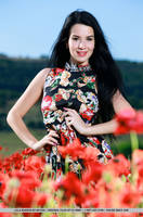 http://images.vfl.ru/ii/1544328732/2cce8460/24528107_s.jpg
