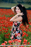 http://images.vfl.ru/ii/1544328732/882109b0/24528109_s.jpg