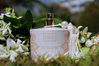 Simone Cosac Profumi Sublime EDP