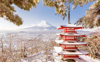 Japan-Fuji-mount-pagoda-winter-snow-trees 1280x800