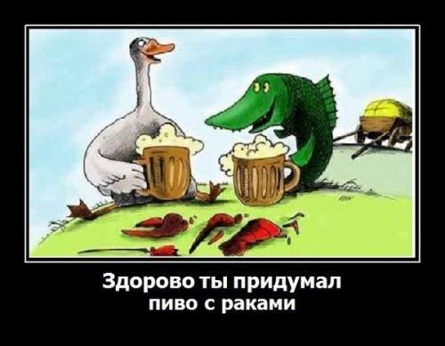 VFL.RU - ваш фотохостинг