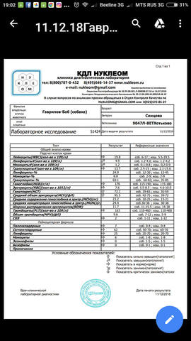 VFL.RU - ваш фотохостинг