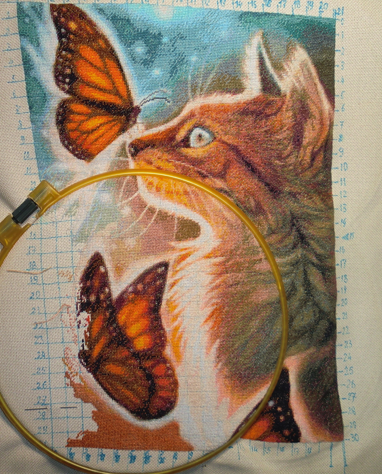 кот и бабочки30