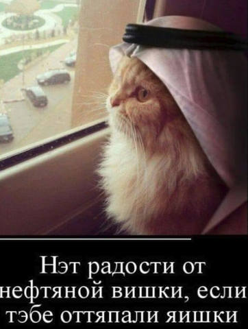 утро