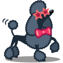 dog-poodle-icon (128х128)