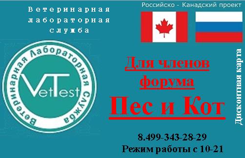 vipvettest
