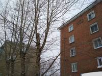VFL.RU - ваш фотохостинг