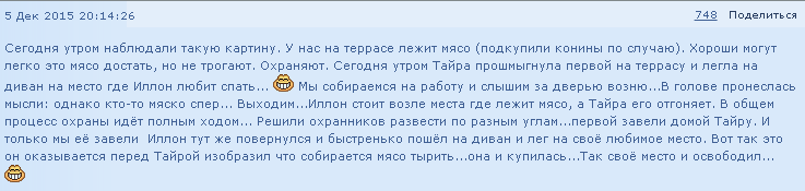 Рисунок14