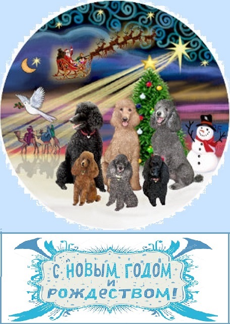 poodles holiday christmas