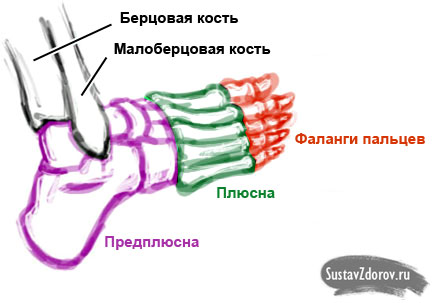 plusna