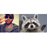 raccoon-alexl